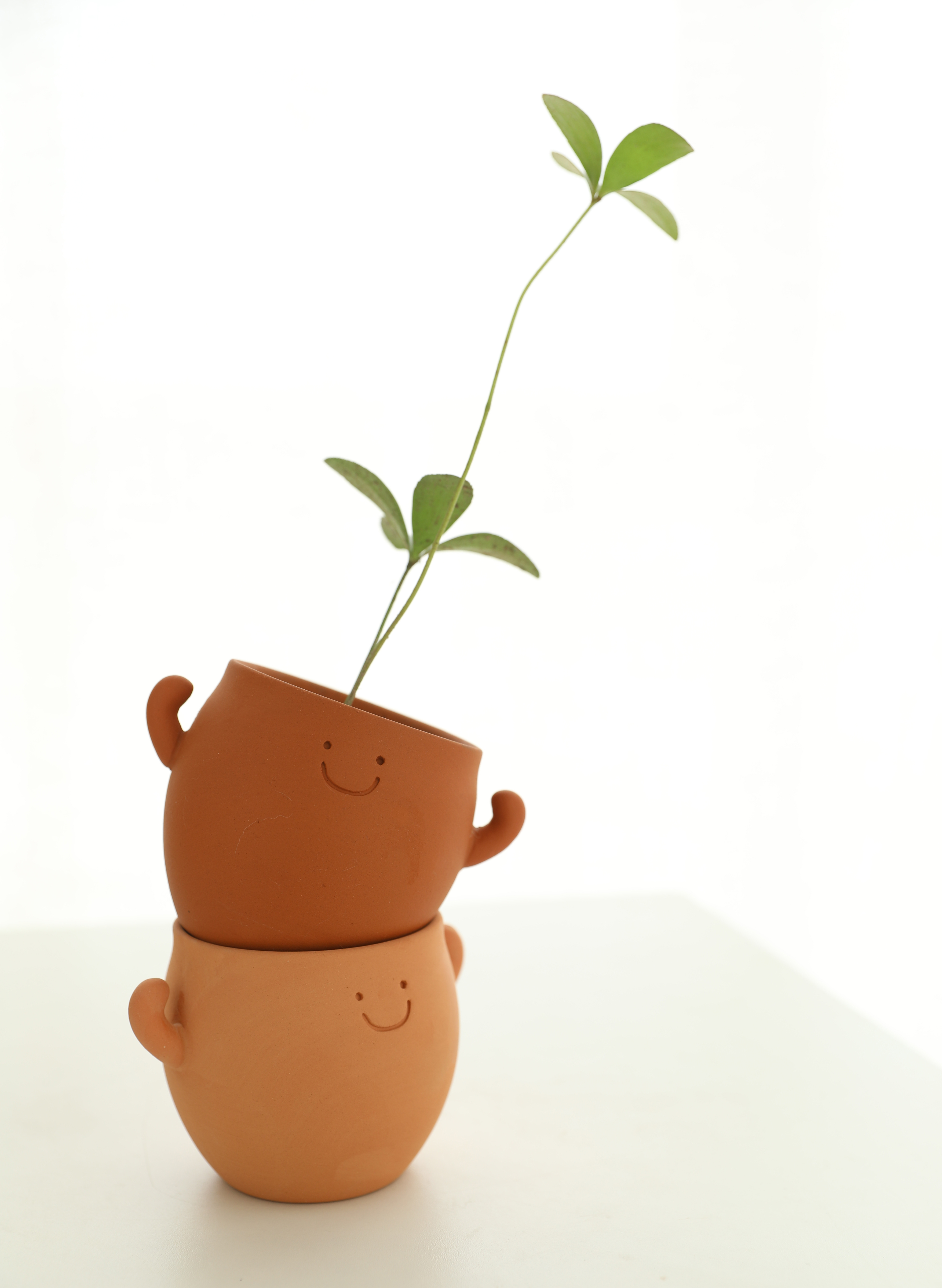 Power Pot Buddy Terracotta Planter