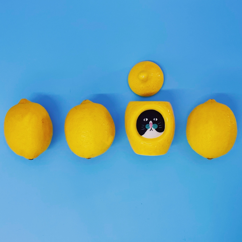 Lemon Kitty Hideout Toothpick Jar