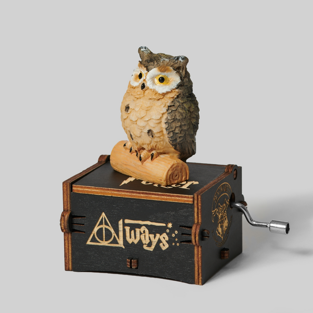 Owlways Music Box