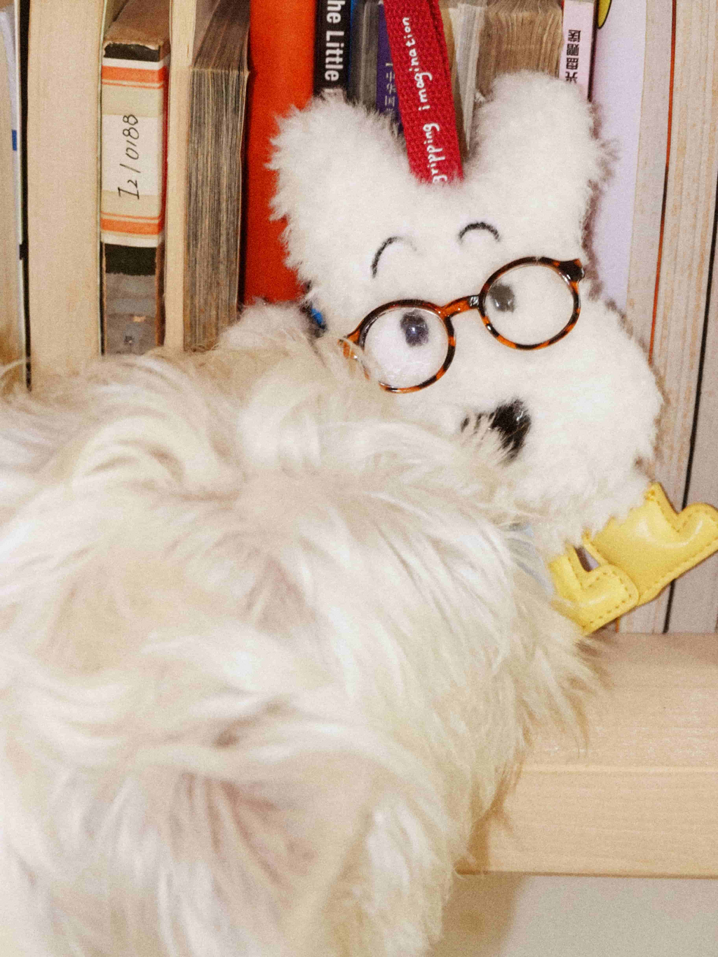 Professor Paws Key Charm