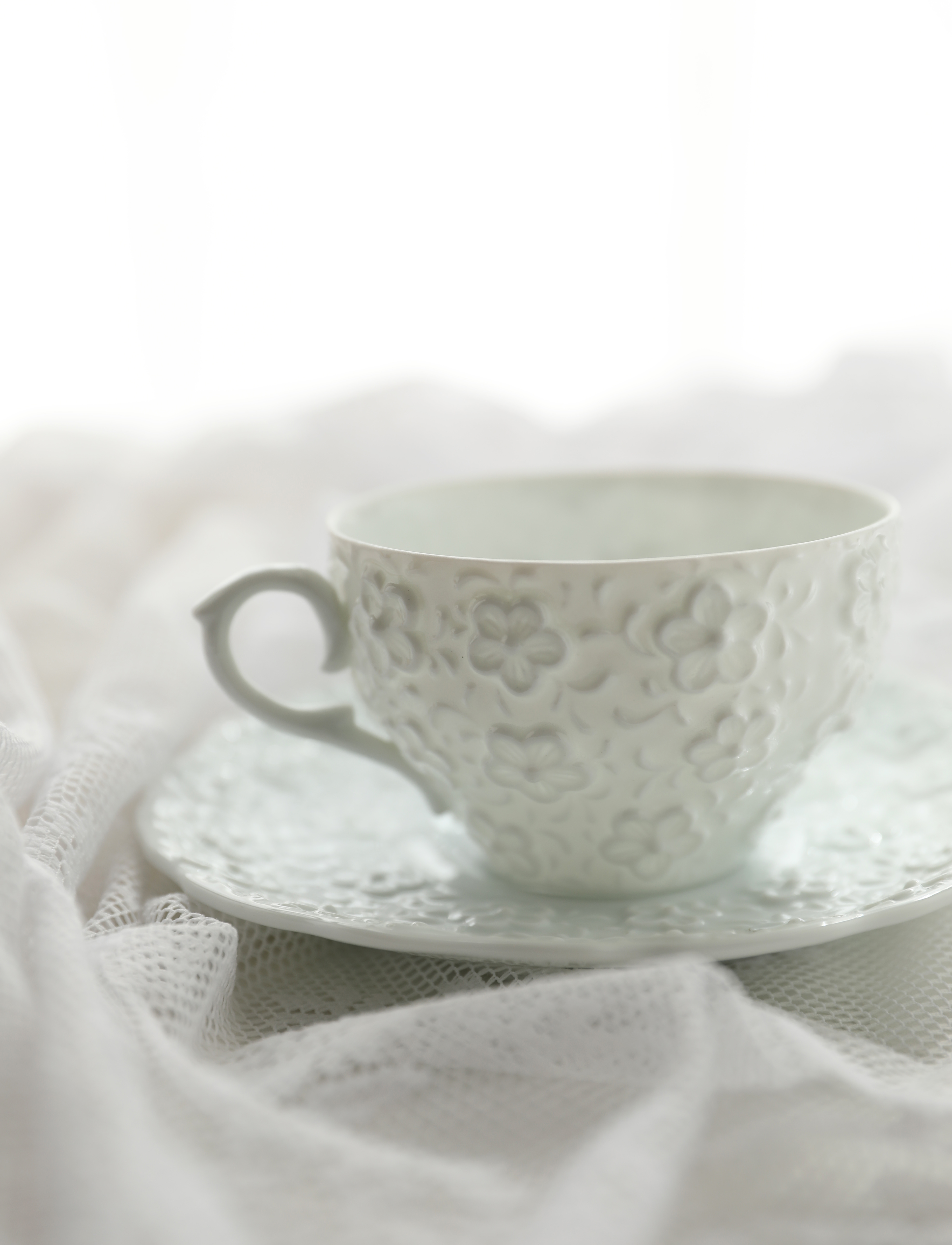 Frost Bloom Tea Cup & Saucer
