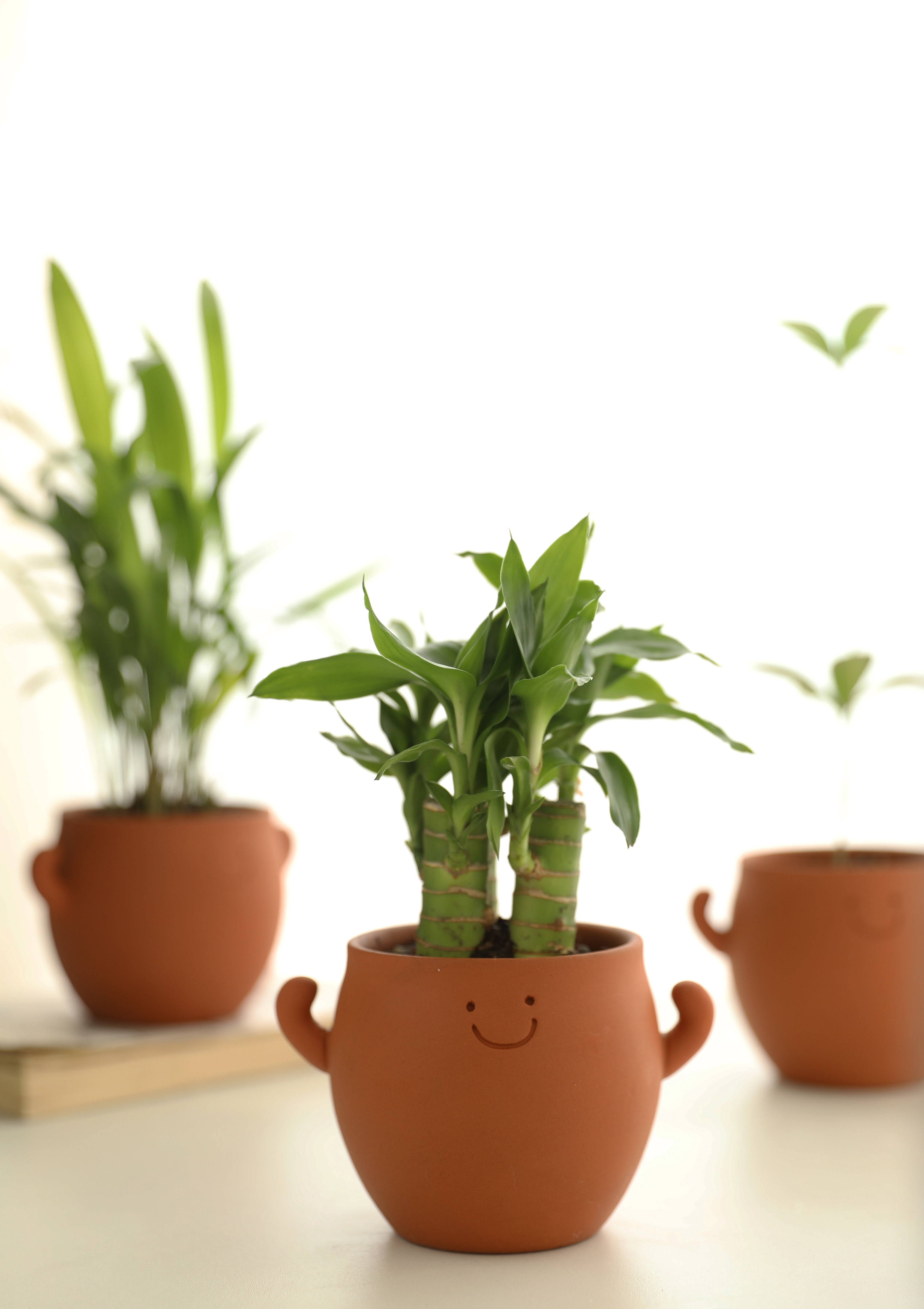 Power Pot Buddy Terracotta Planter