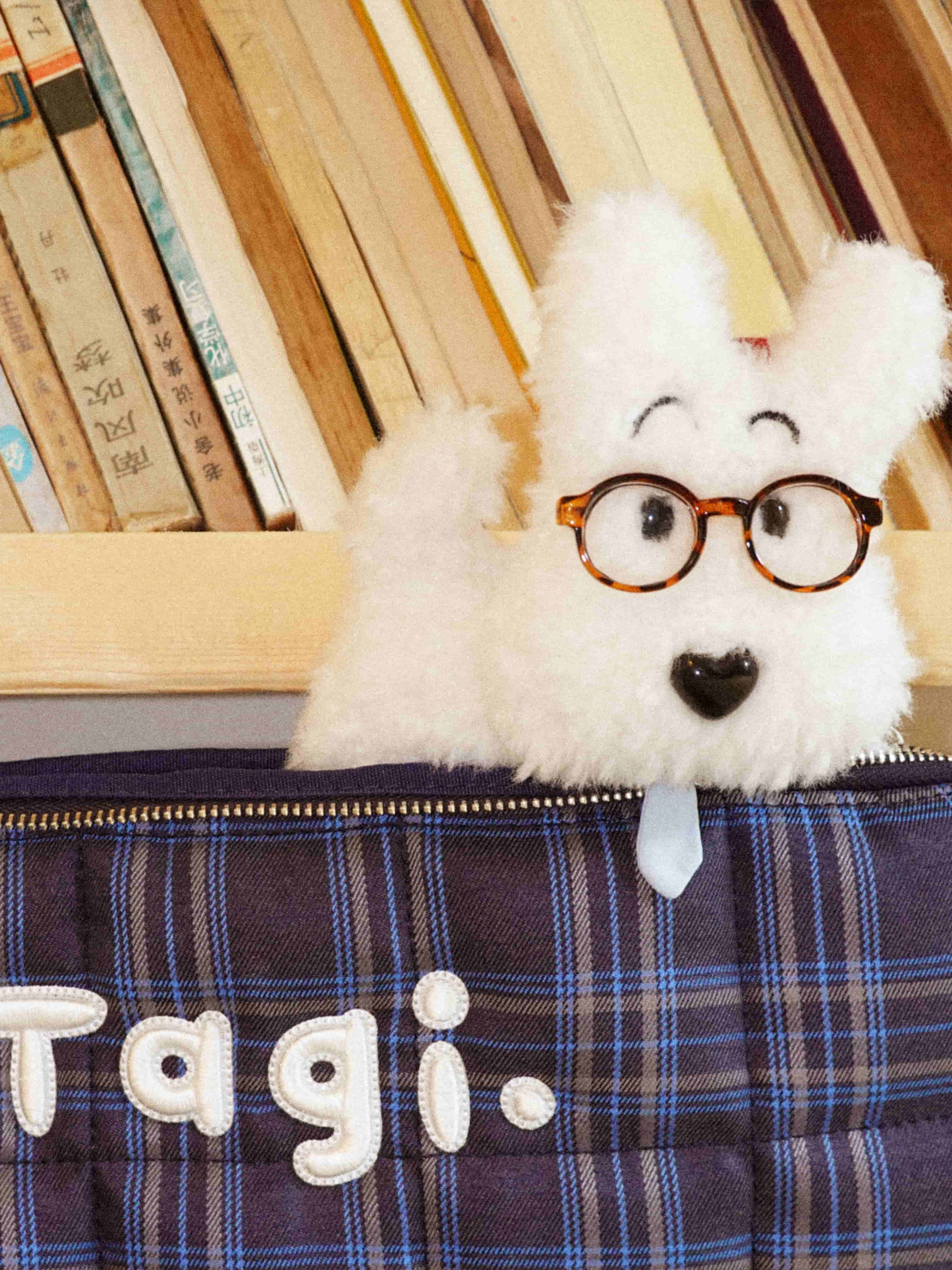 Professor Paws Key Charm