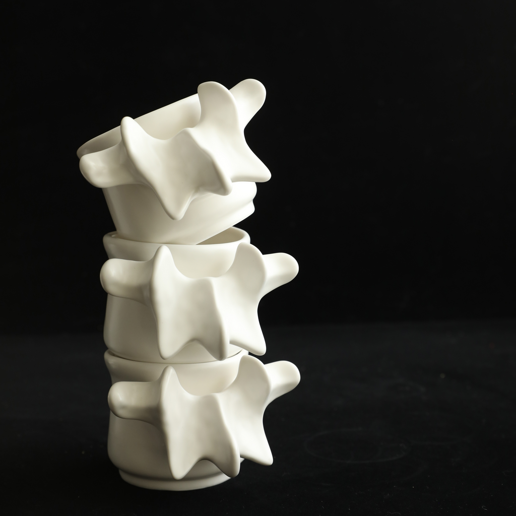 Bone Pride Ceramic