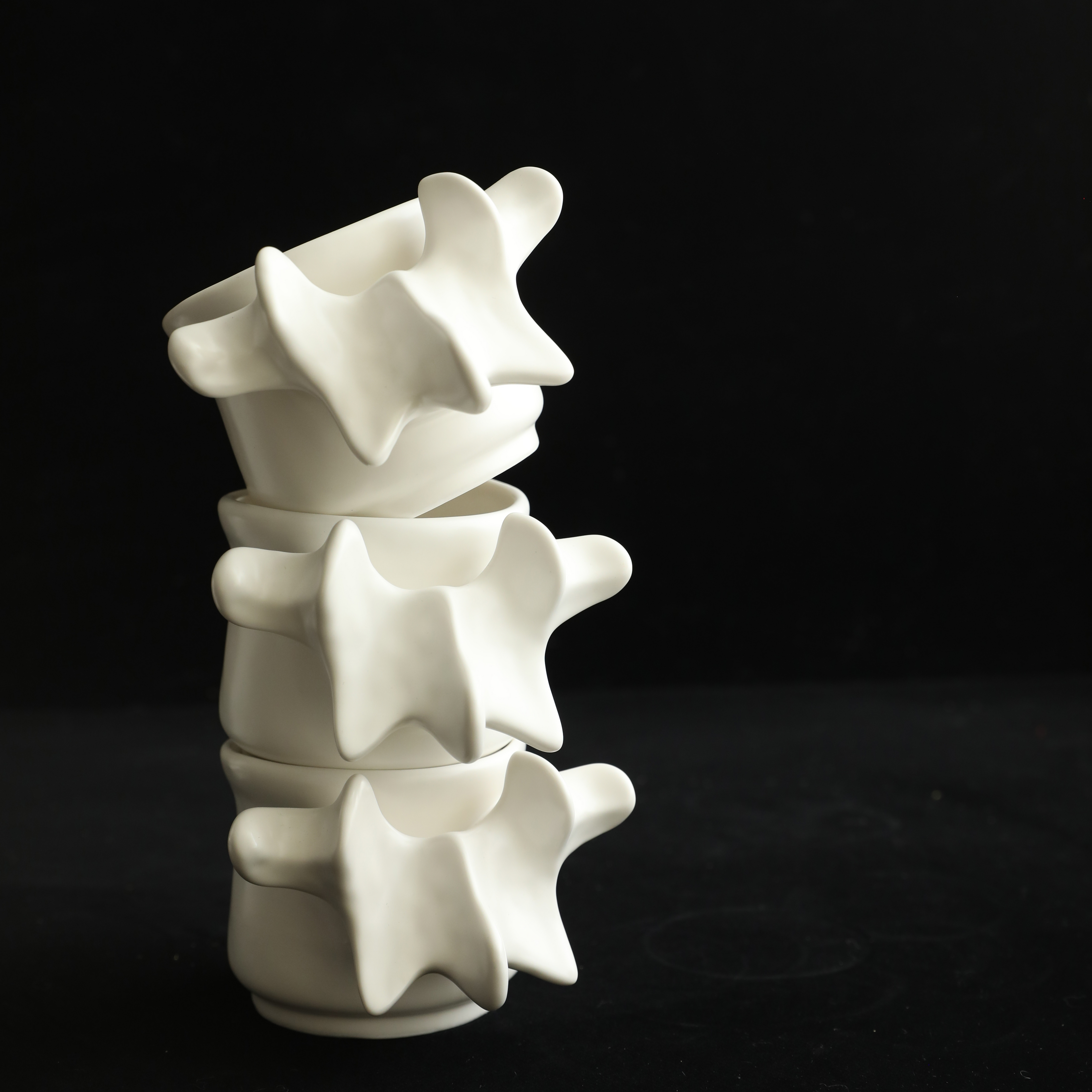 Bone Pride Ceramic