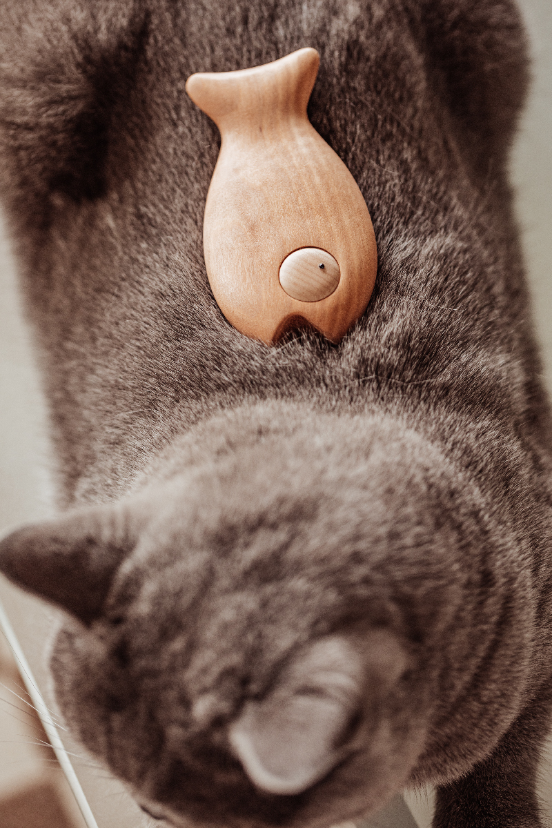 Lazy Little Fish Wooden Bottle Opener & Magnet