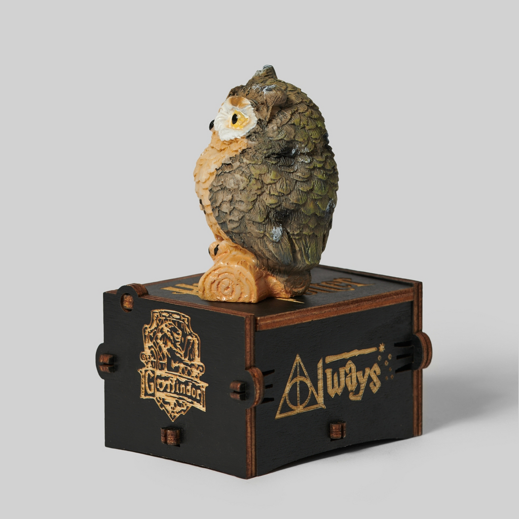 Owlways Music Box
