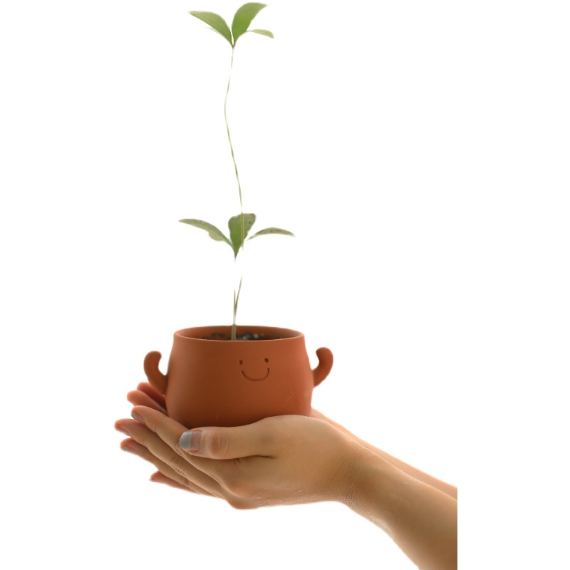 Power Pot Buddy Terracotta Planter
