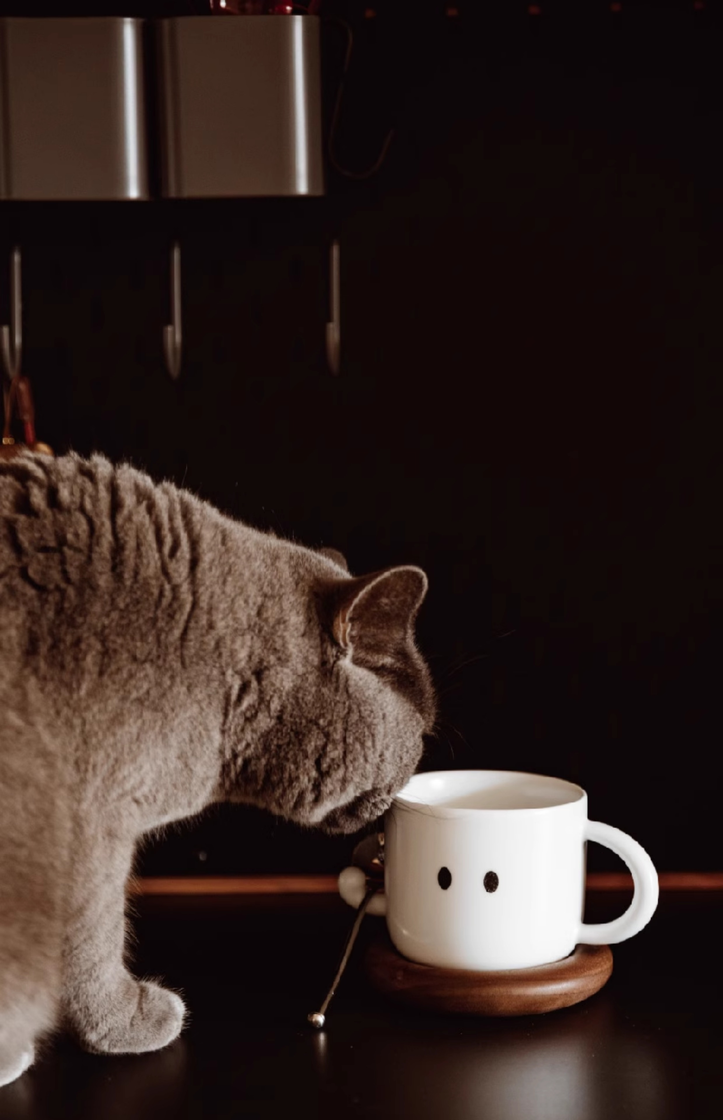 Fighting Friends Mug Duo