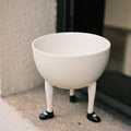 Little Dandy Legs Bowl image 0