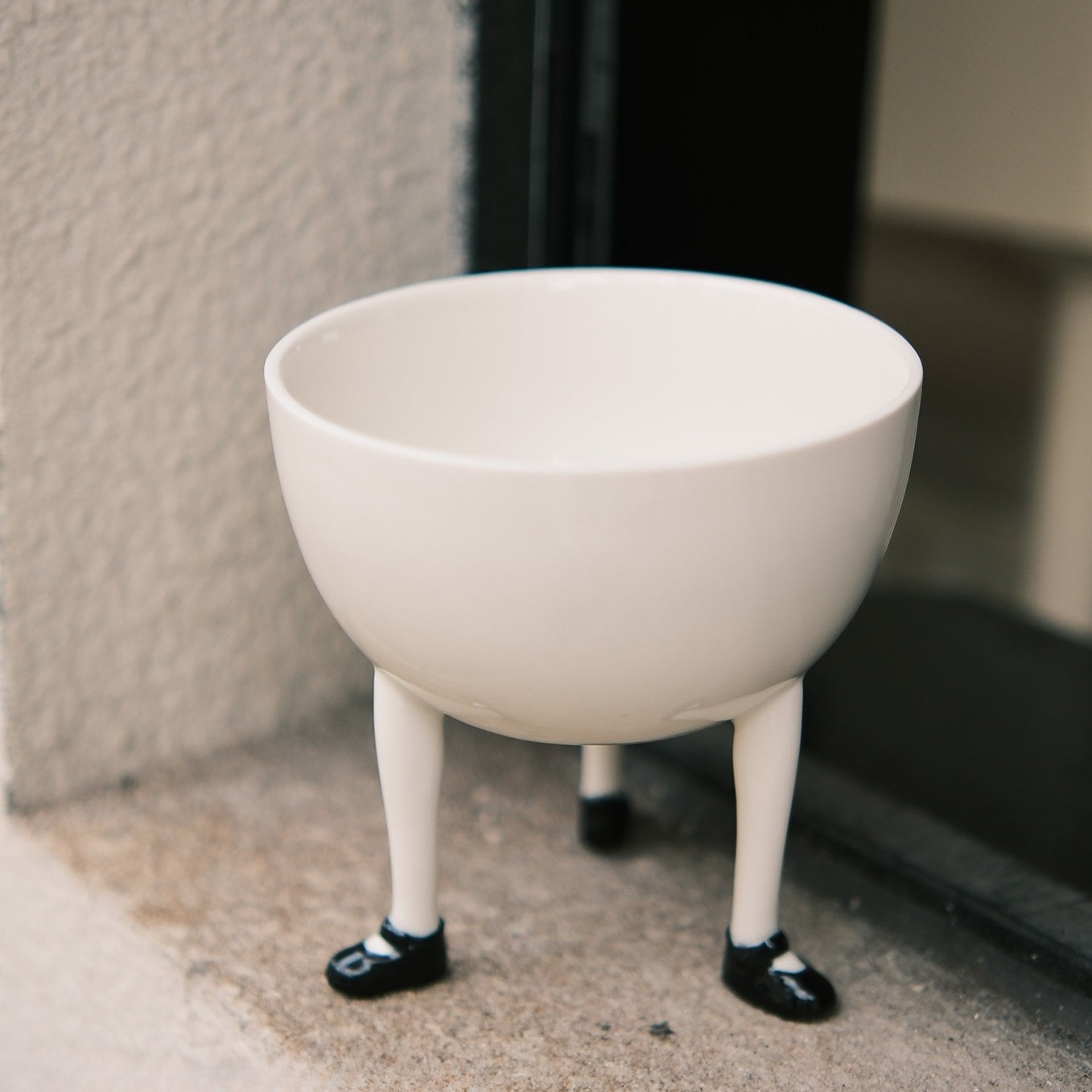 Little Dandy Legs Bowl image 0