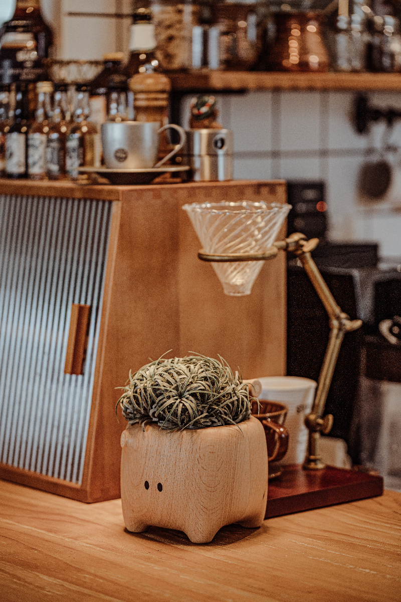 Trunky the Tidyboar image 2