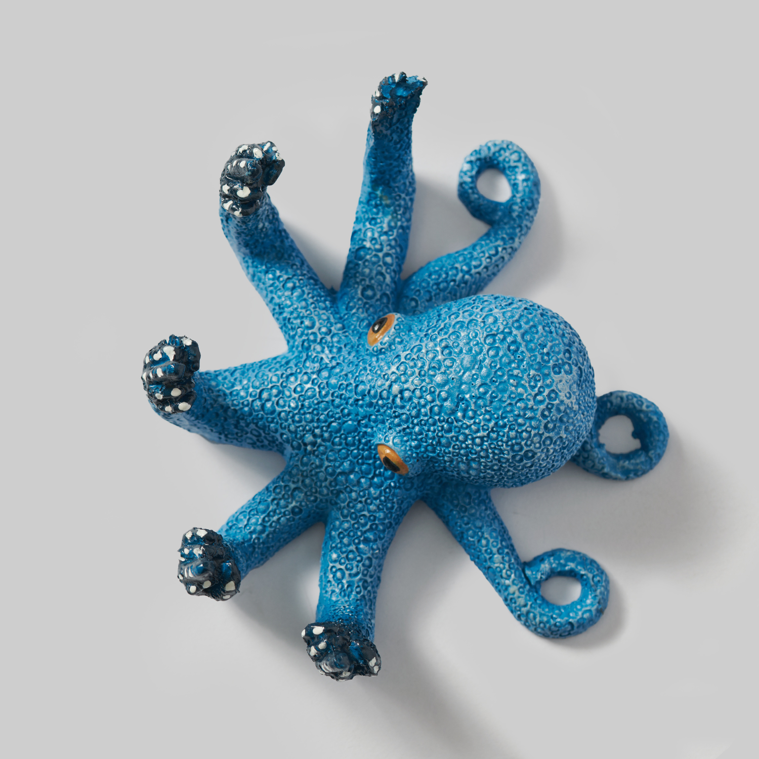 Salty the Sassy Octopus image 3