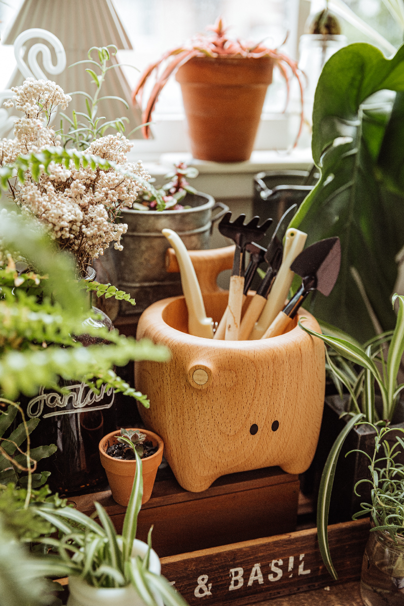 Trunky the Tidyboar image 1