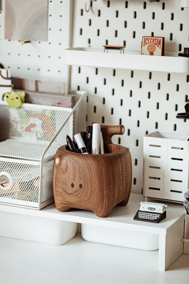 Trunky the Tidyboar image 6