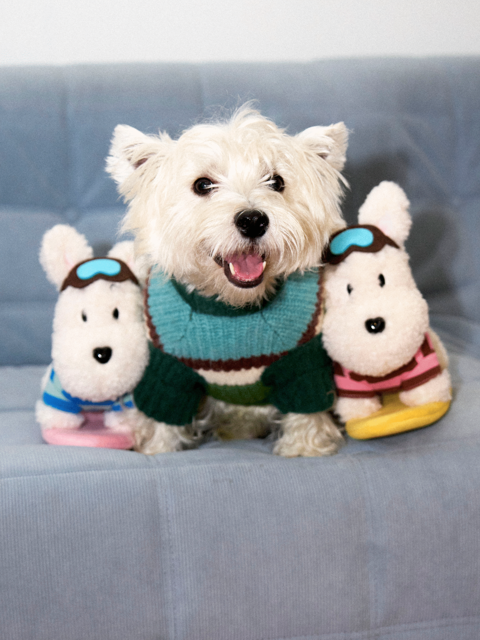 Surf Pup Plush Toy image 2