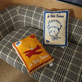 Little Prince Star Mail Pillow image 0