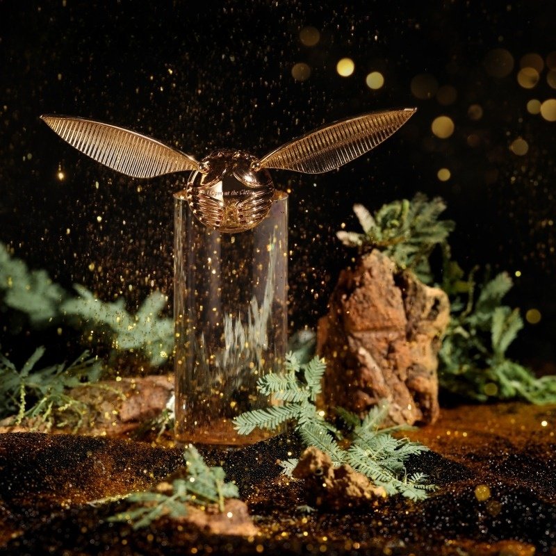 Golden Snitch Car Diffuser - Image 3